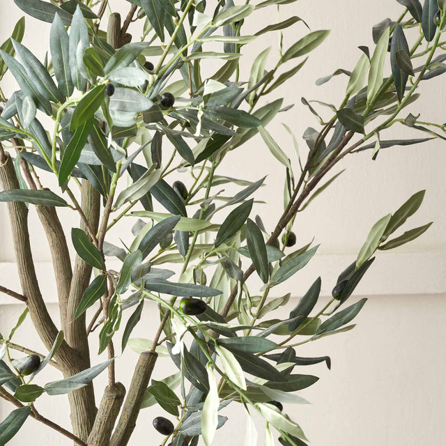 Olive Tree in Taupe Pot Large