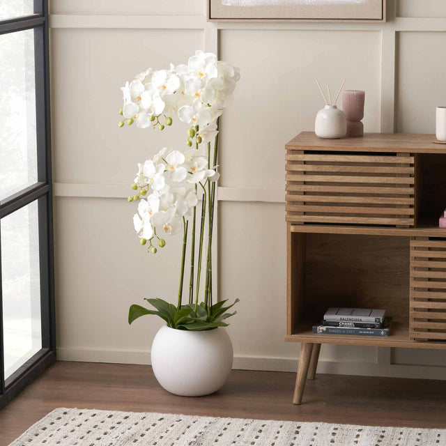 White Orchid in White Pot Tall