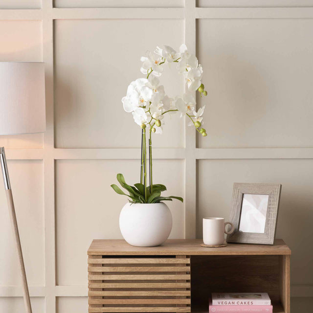 White Orchid in White Pot Medium