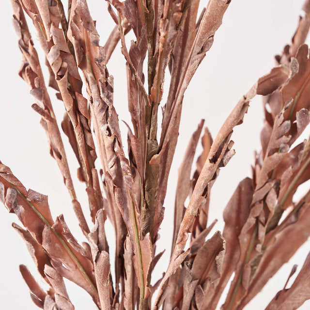 Mulberry Brown Autumn Leaf Stem