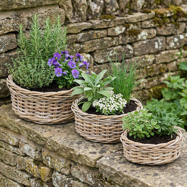 Alamina Indoor Outdoor Grey Kubu Round Basket Planters S/3