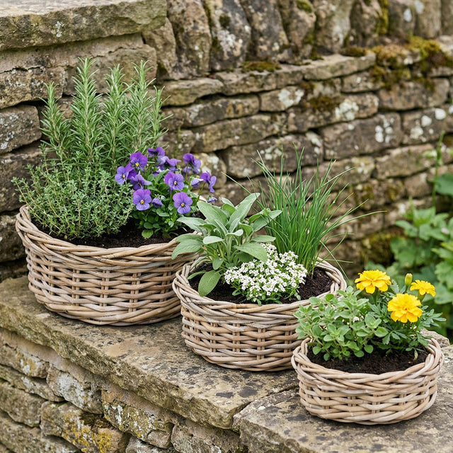 Alamina Indoor Outdoor Grey Kubu Round Basket Planters S/3