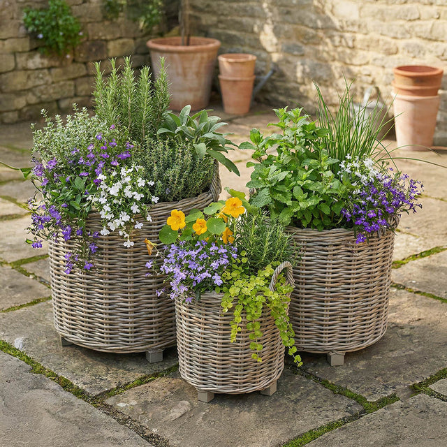 Taha Indoor Outdoor Grey Kubu Round Basket Planters S/3