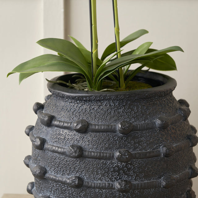 Harlie Black Bobble Fibrestone Planter