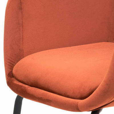 Alva Cinnamon Velvet  Carver Dining Chair