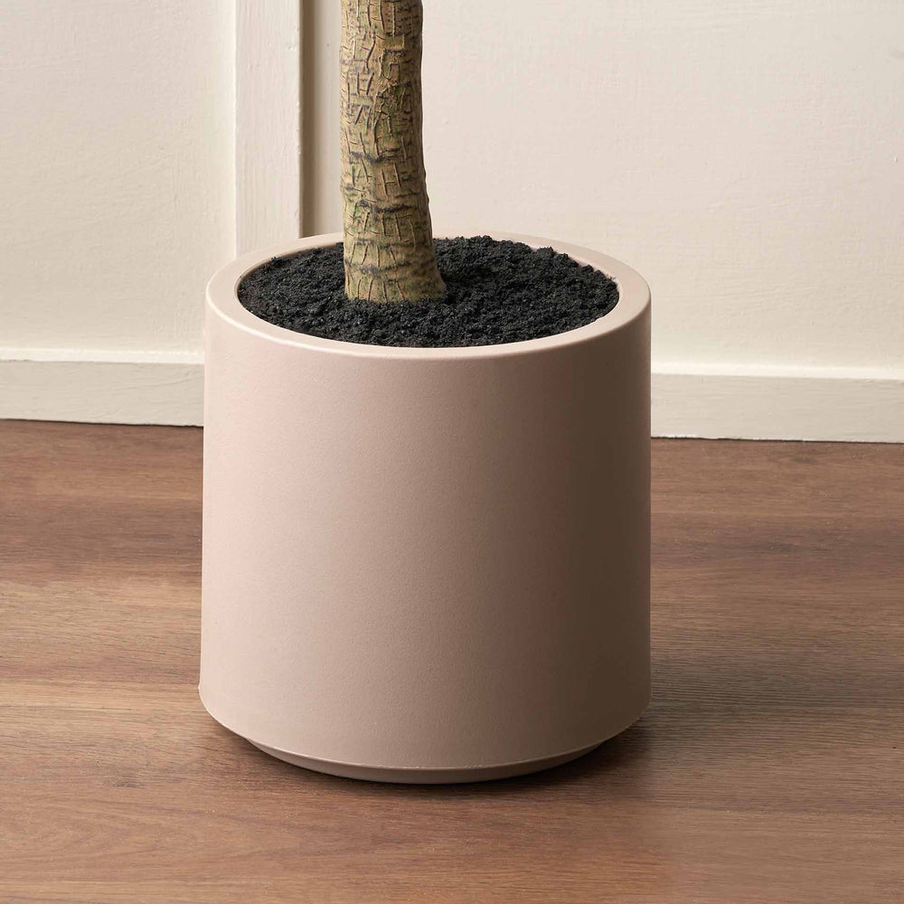 Olive Tree in Taupe Pot Large