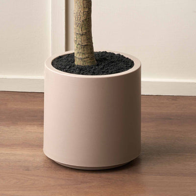 Olive Tree in Taupe Pot Large