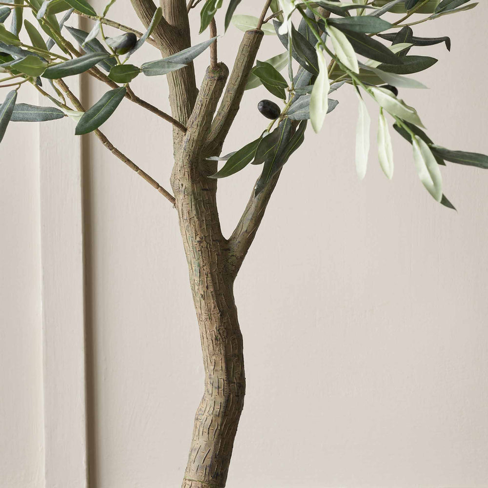 Olive Tree in Taupe Pot Large