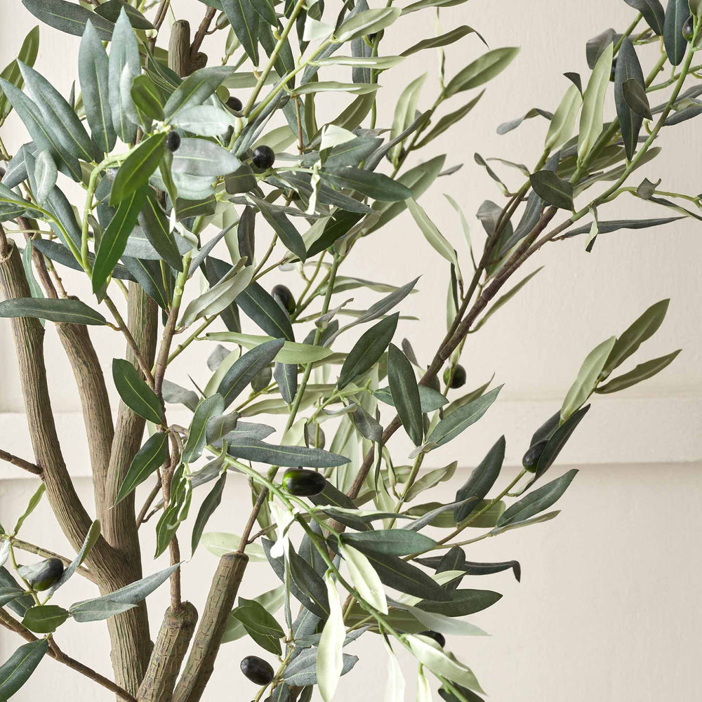 Olive Tree in Taupe Pot Large