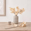 Natural Apricot Maple Leaf Stem