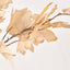Natural Apricot Maple Leaf Stem