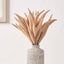 Natural Apricot Foxtail 3 Stem