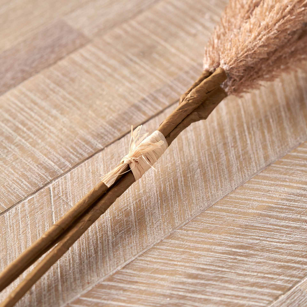 Natural Apricot Foxtail 3 Stem