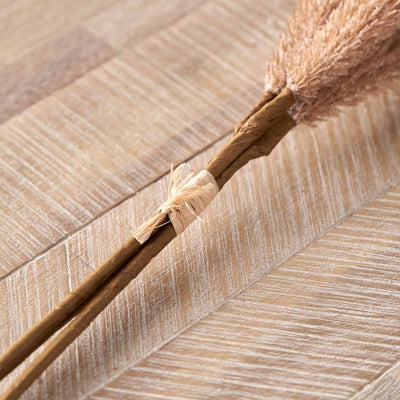 Natural Apricot Foxtail 3 Stem