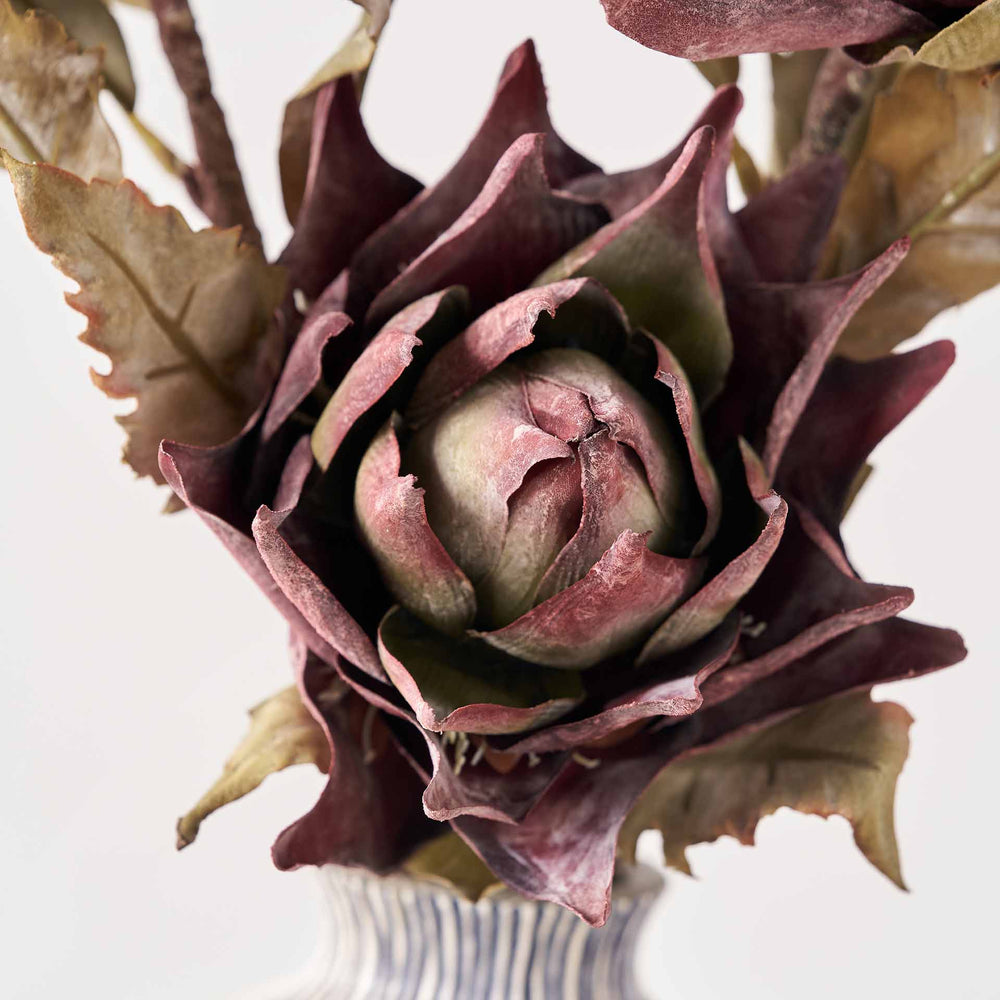 Mulberry Lotus Stem
