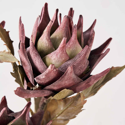 Mulberry Lotus Stem