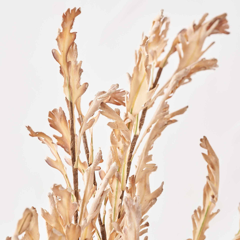 Natural Apricot Autumn Leaf Stem