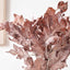 Mulberry Brown Dried Flower 5 Stem Bunch
