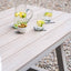 Amari Outdoor Bench Set
