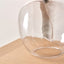 Hazel Clear Glass and Terracotta Lampshade Table Lamp