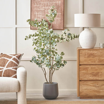 Eucalyptus Tree in Grey Pot Large