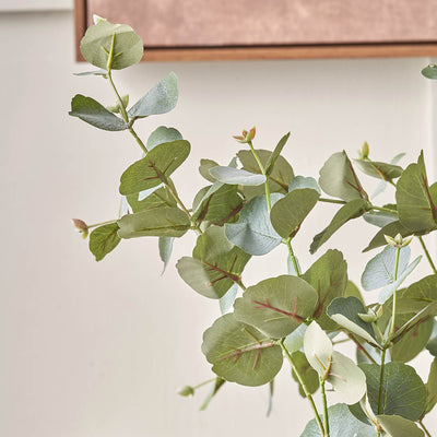Eucalyptus Tree in Grey Pot Large