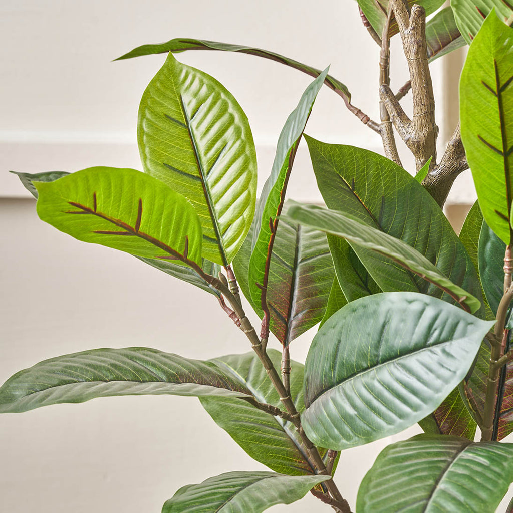 Magnolia Tree in Grey Pot | Faux Plants, Trees and Stems