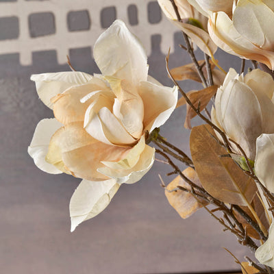 Natural Cream Magnolia Stem