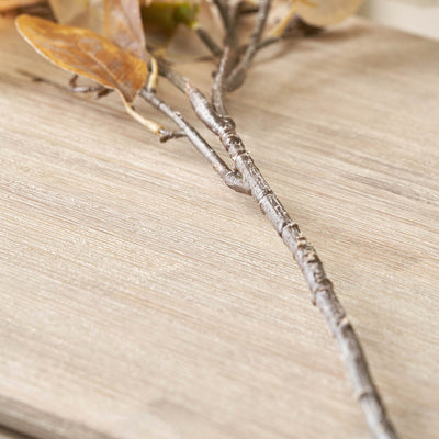 Natural Cream Magnolia Stem