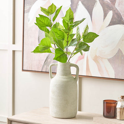 Green Hydrangea Leaf Stem