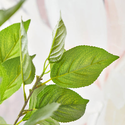 Green Hydrangea Leaf Stem