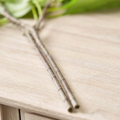 Green Hydrangea Leaf Stem