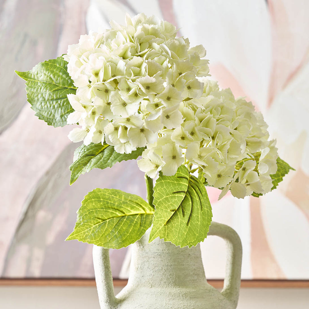 White Hydrangea Stem