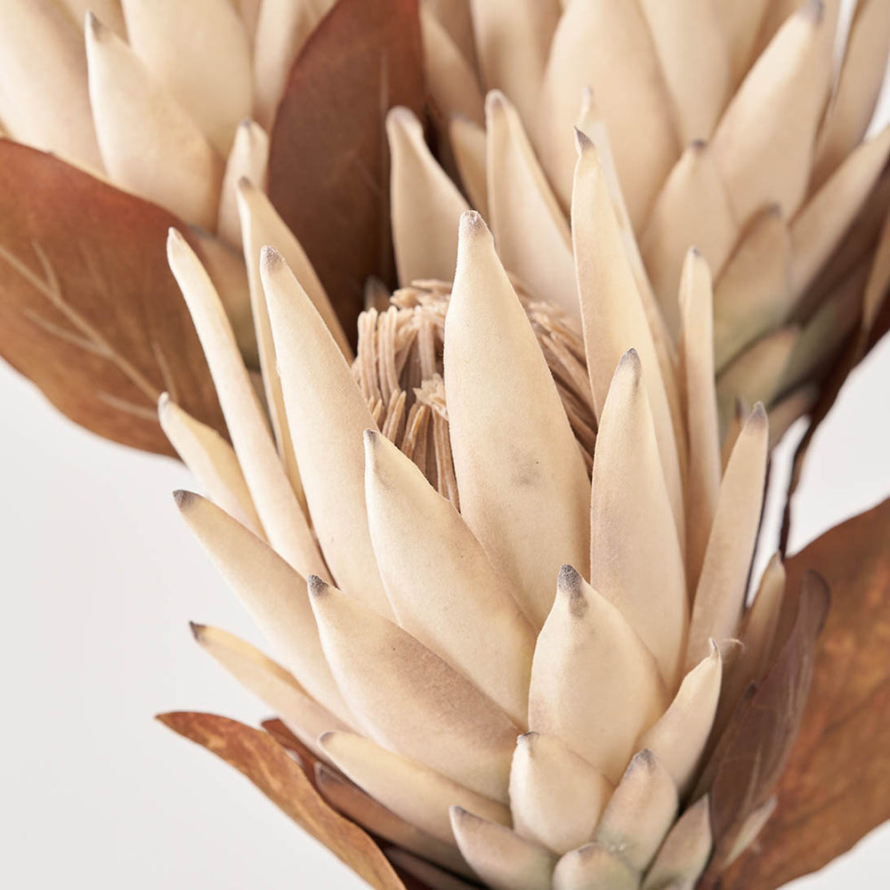 Natural Magnolia Faux Flower Bunch