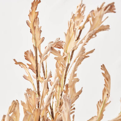 Natural Magnolia Faux Flower Bunch