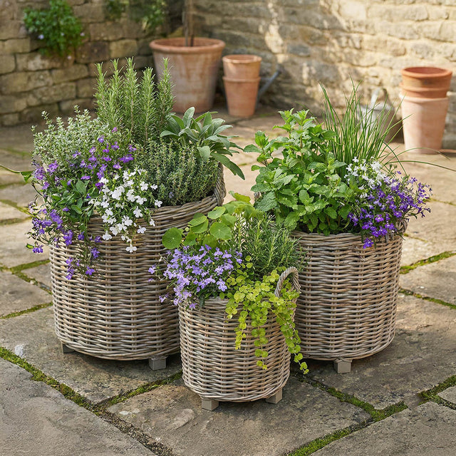 Taha Indoor Outdoor Grey Kubu Round Basket Planters S/3