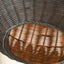 Liliana Black Rattan Pendant