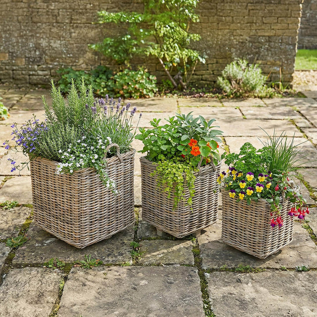Likha Indoor Outdoor Grey Kubu Square Basket Planters S/3