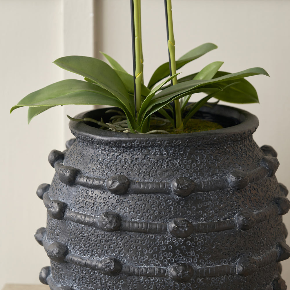 Harlie Black Bobble Fibrestone Planter