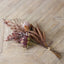 Mulberry Brown Dried Flower 5 Stem Bunch
