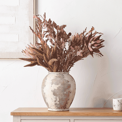 Mulberry Brown Dried Flower 5 Stem Bunch
